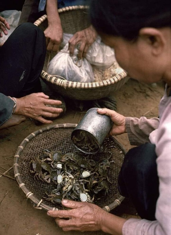 View -             Bộ ảnh 'Việt Nam những năm 1988-1990' đẹp đến nao lòng    