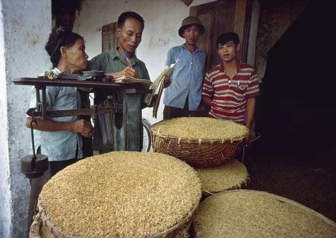 View -             Bộ ảnh 'Việt Nam những năm 1988-1990' đẹp đến nao lòng    