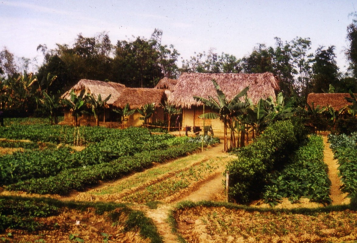 View -             Ảnh đầy hoài niệm về nông thôn miền Bắc năm 1973-1974    