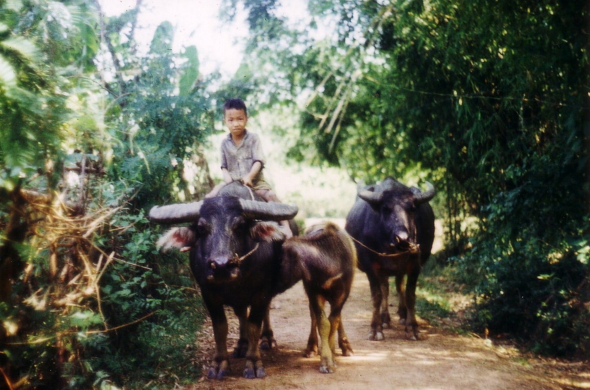 View -             Ảnh đầy hoài niệm về nông thôn miền Bắc năm 1973-1974    