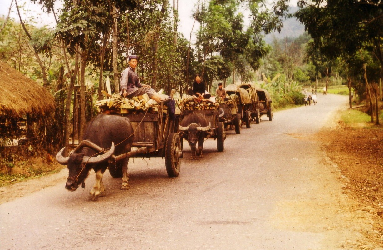 View -             Ảnh đầy hoài niệm về nông thôn miền Bắc năm 1973-1974    