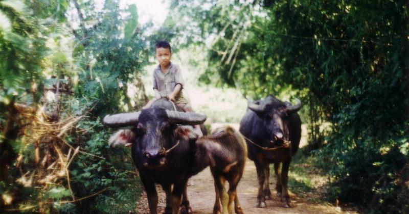 View -             Ảnh đầy hoài niệm về nông thôn miền Bắc năm 1973-1974    