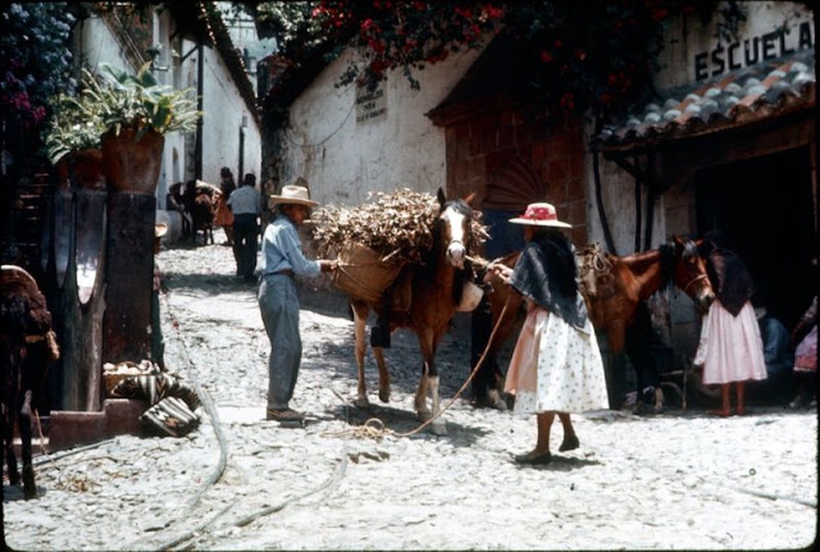 View -             Bộ ảnh cuộc sống thanh bình ở Mexico đầu những năm 1950    