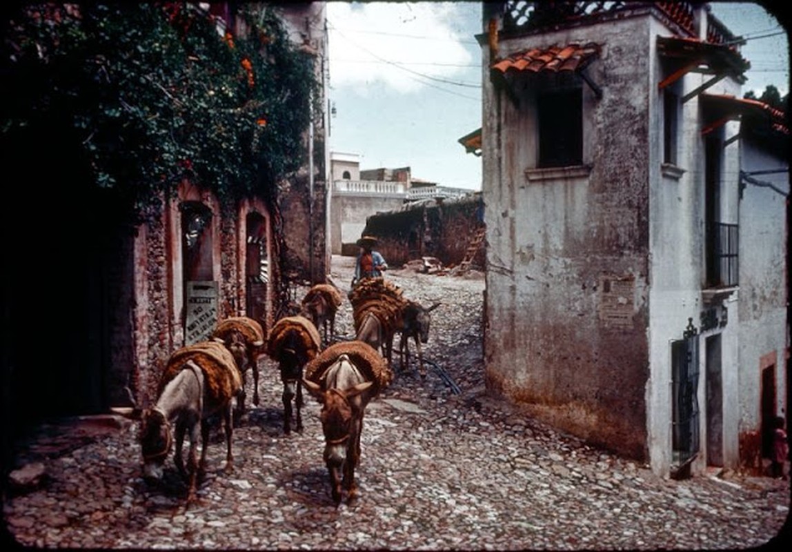 View -             Bộ ảnh cuộc sống thanh bình ở Mexico đầu những năm 1950    