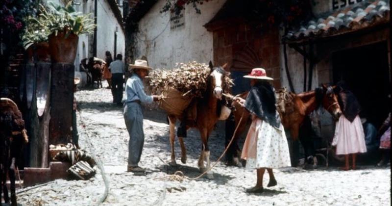             Bộ ảnh cuộc sống thanh bình ở Mexico đầu những năm 1950    