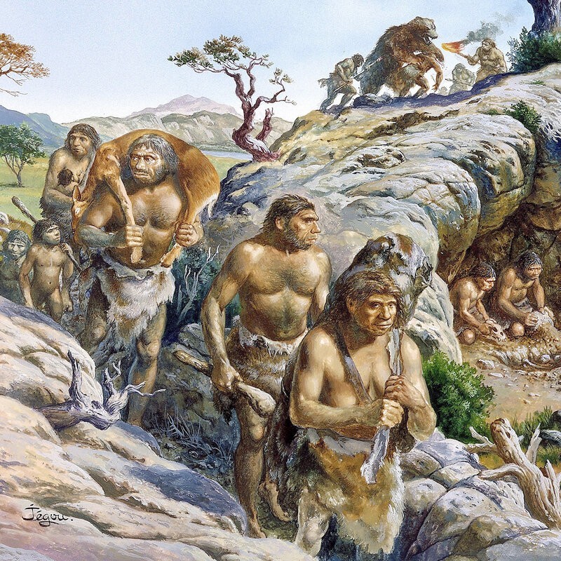 View -             Giải mã trường hợp đầu tiên mắc hội chứng Down ở người Neanderthal    