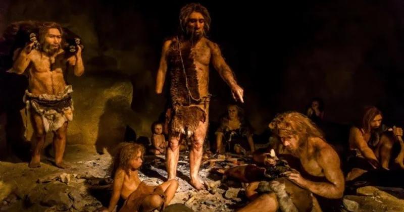             Giải mã trường hợp đầu tiên mắc hội chứng Down ở người Neanderthal    