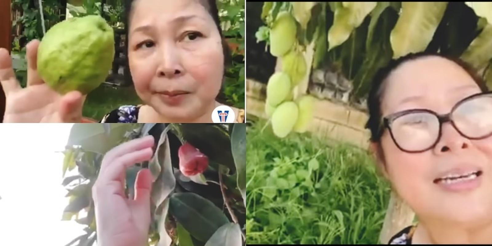 View -             'Biệt phủ' dưỡng già 'đi mỏi chân' của NSND Hồng Vân    