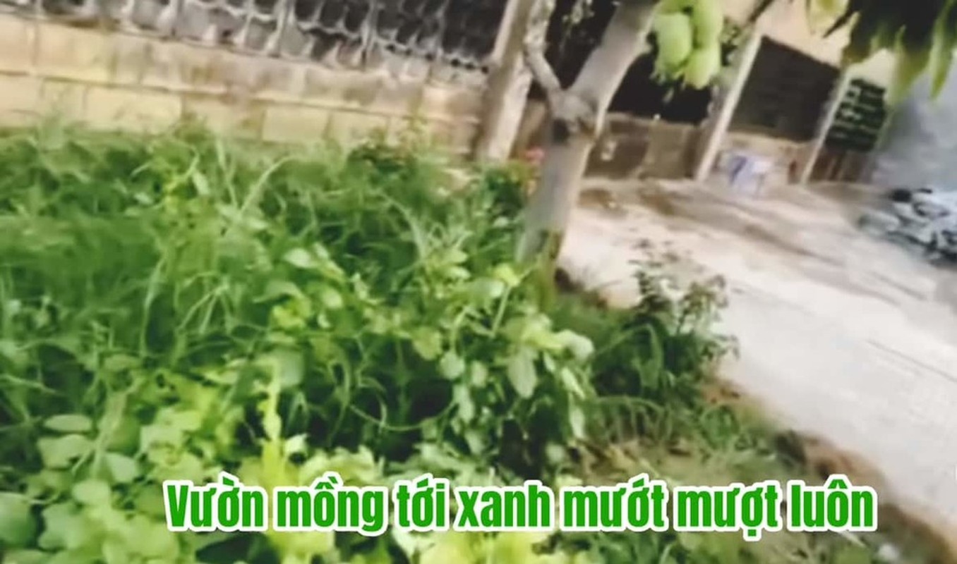 View -             'Biệt phủ' dưỡng già 'đi mỏi chân' của NSND Hồng Vân    