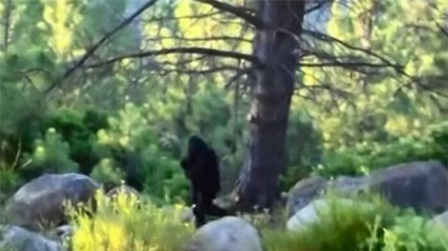             'Tóm sống' những lần quái vật Bigfoot xuất hiện... trêu con người    