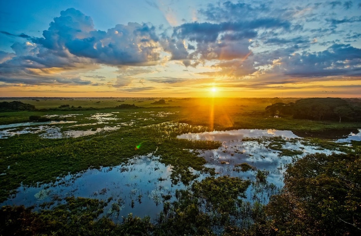 View -             Rùng mình vùng đất ngập nước, vương quốc của 'quái vật' khổng lồ    