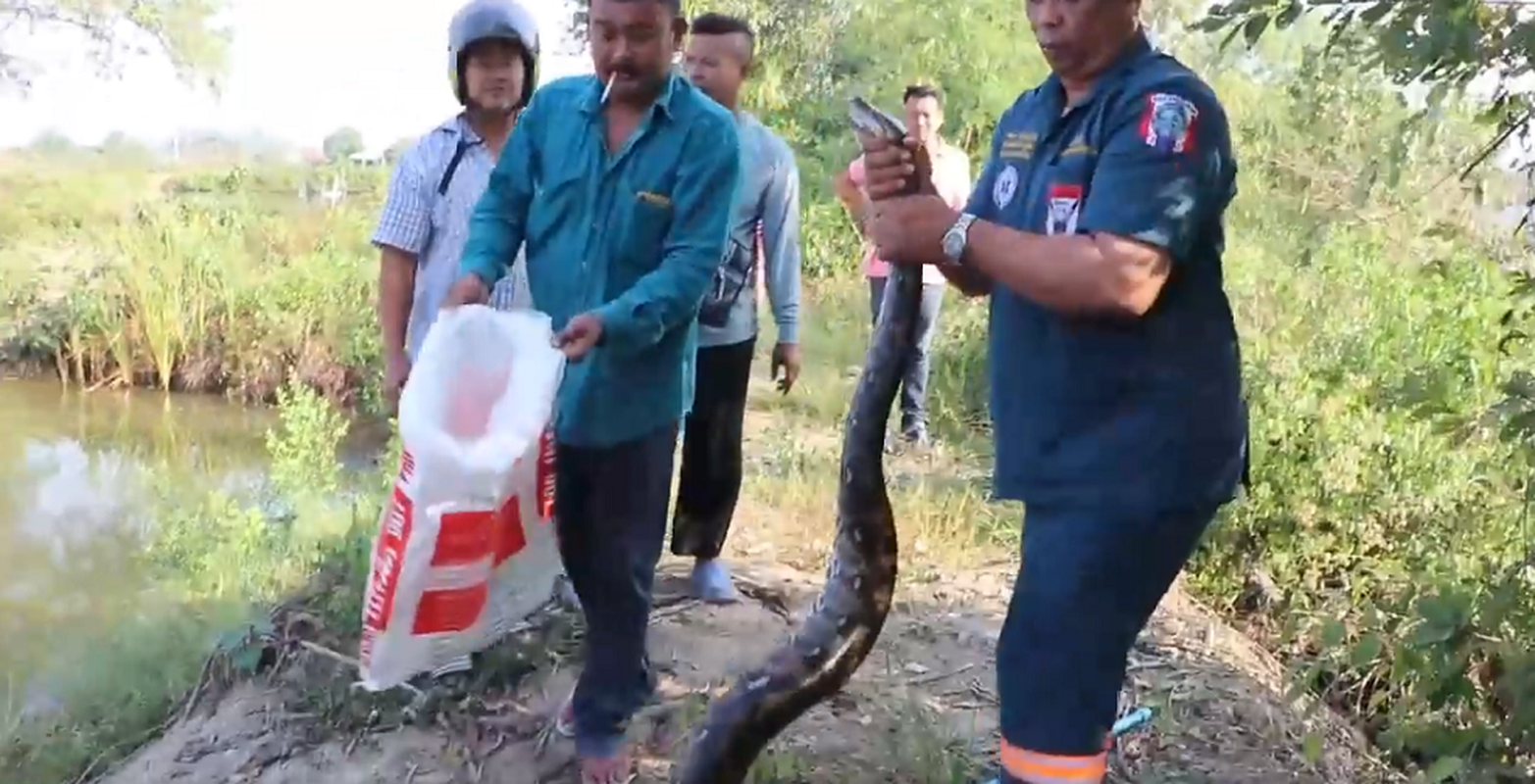 View -             'Quái thú' khổng lồ nằm gọn trong lưới, ngư dân sốc nặng    