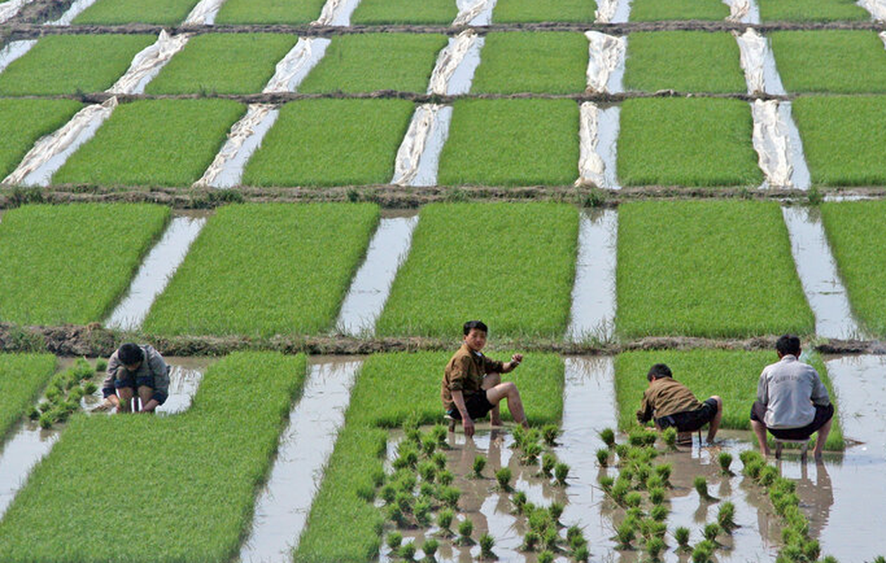 View -             Hé lộ cuộc sống thường nhật ở Triều Tiên qua loạt ảnh mới    