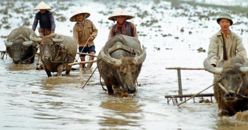 View -             Loạt ảnh miền Bắc Việt Nam những năm 1972-1973    