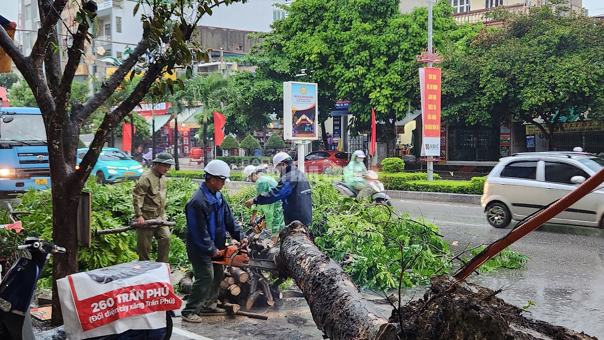             Siêu bão số 3 chưa vào, cây xanh bật gốc khắp nơi đè trúng người đi đường    