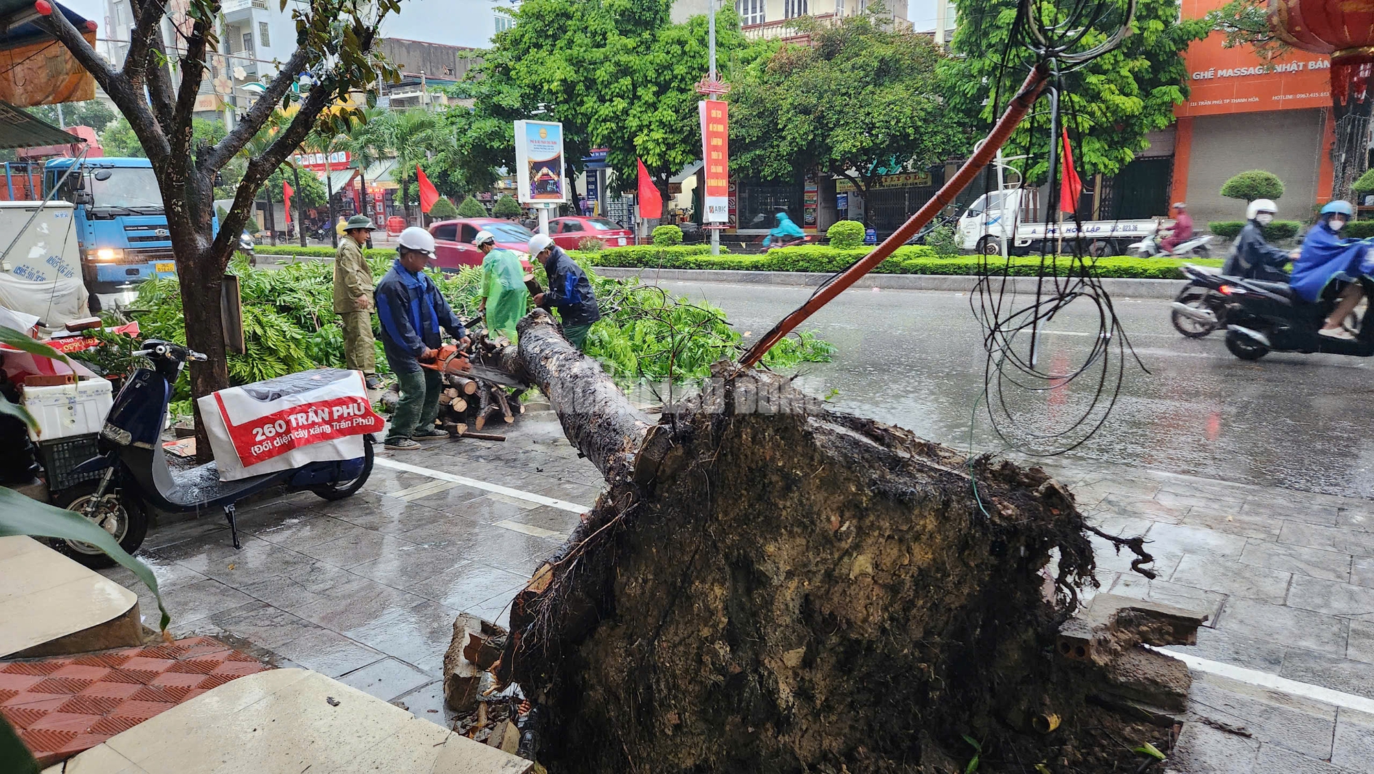             Siêu bão số 3 chưa vào, cây xanh bật gốc khắp nơi đè trúng người đi đường    