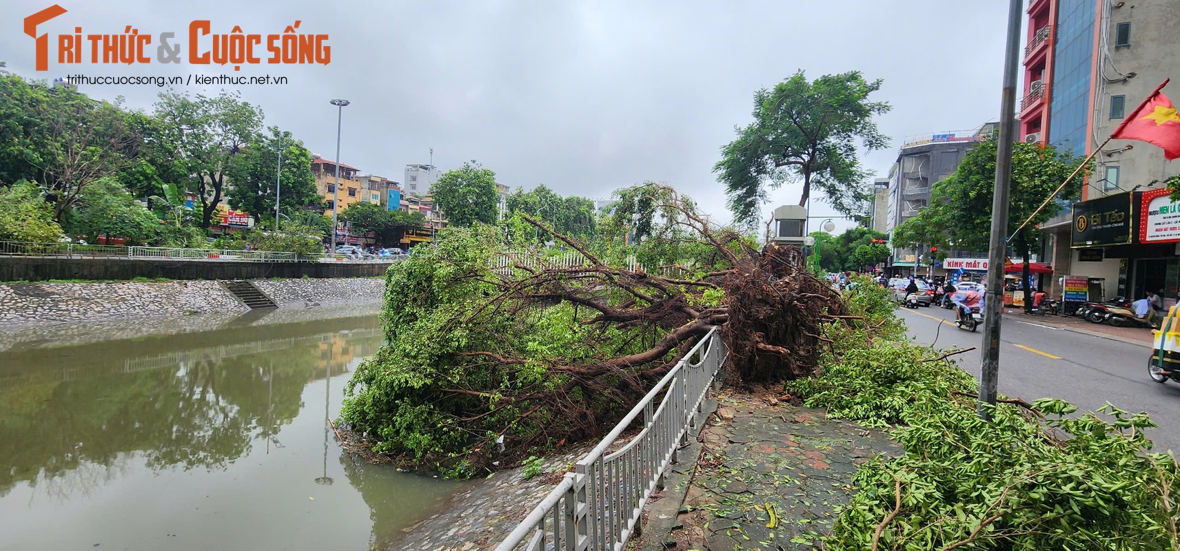             Cận cảnh nước sông Tô Lịch dâng cao, bất ngờ đổi màu    