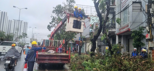             Dầm mình trong mưa hỗ trợ Hải Phòng dọn dẹp cây xanh gãy đổ la liệt sau bão số 3    