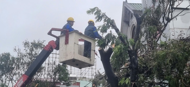             Dầm mình trong mưa hỗ trợ Hải Phòng dọn dẹp cây xanh gãy đổ la liệt sau bão số 3    