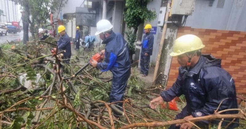 View -             Dầm mình trong mưa hỗ trợ Hải Phòng dọn dẹp cây xanh gãy đổ la liệt sau bão số 3    