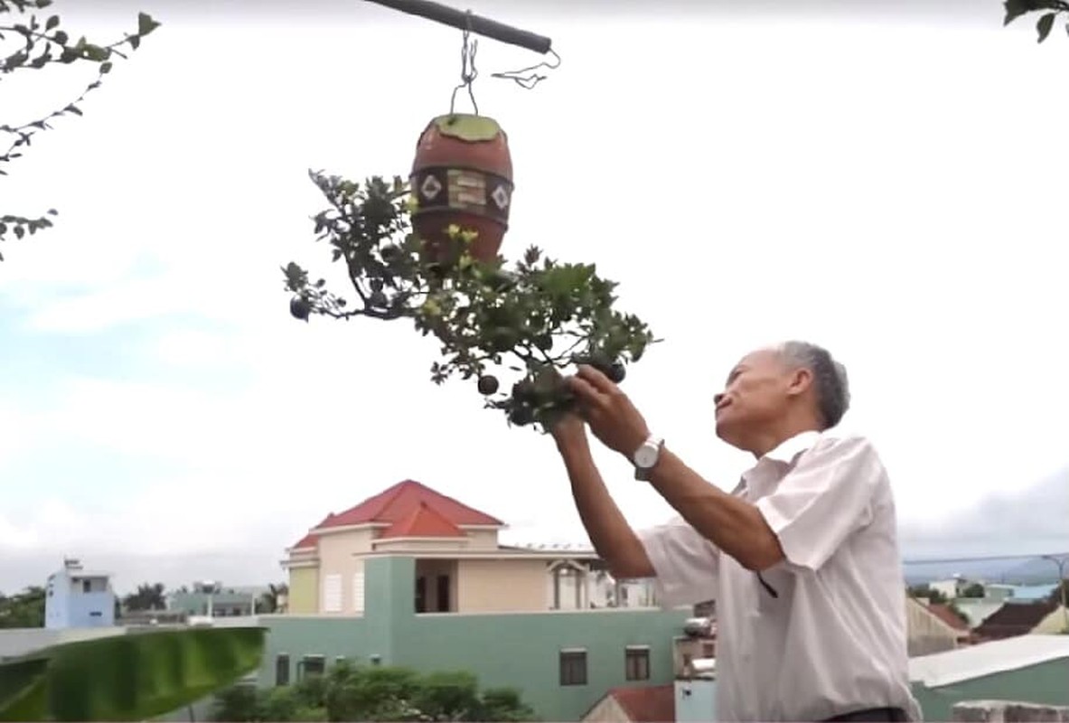             Vườn bonsai mọc ngược có 1-0-2 của 'dị nhân' Quảng Nam    