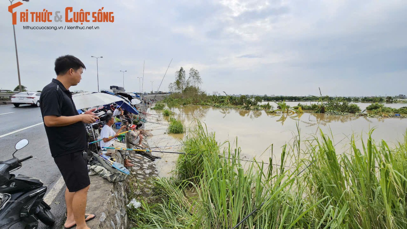 View -             Hải Dương: Người dân dựng xe, ngồi lan can ven QL5 câu cá    