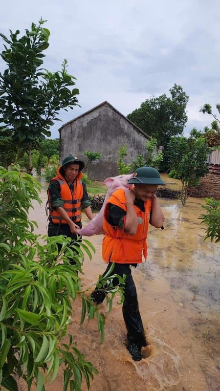             Tan chảy trước loạt ảnh giải cứu động vật mùa lũ    