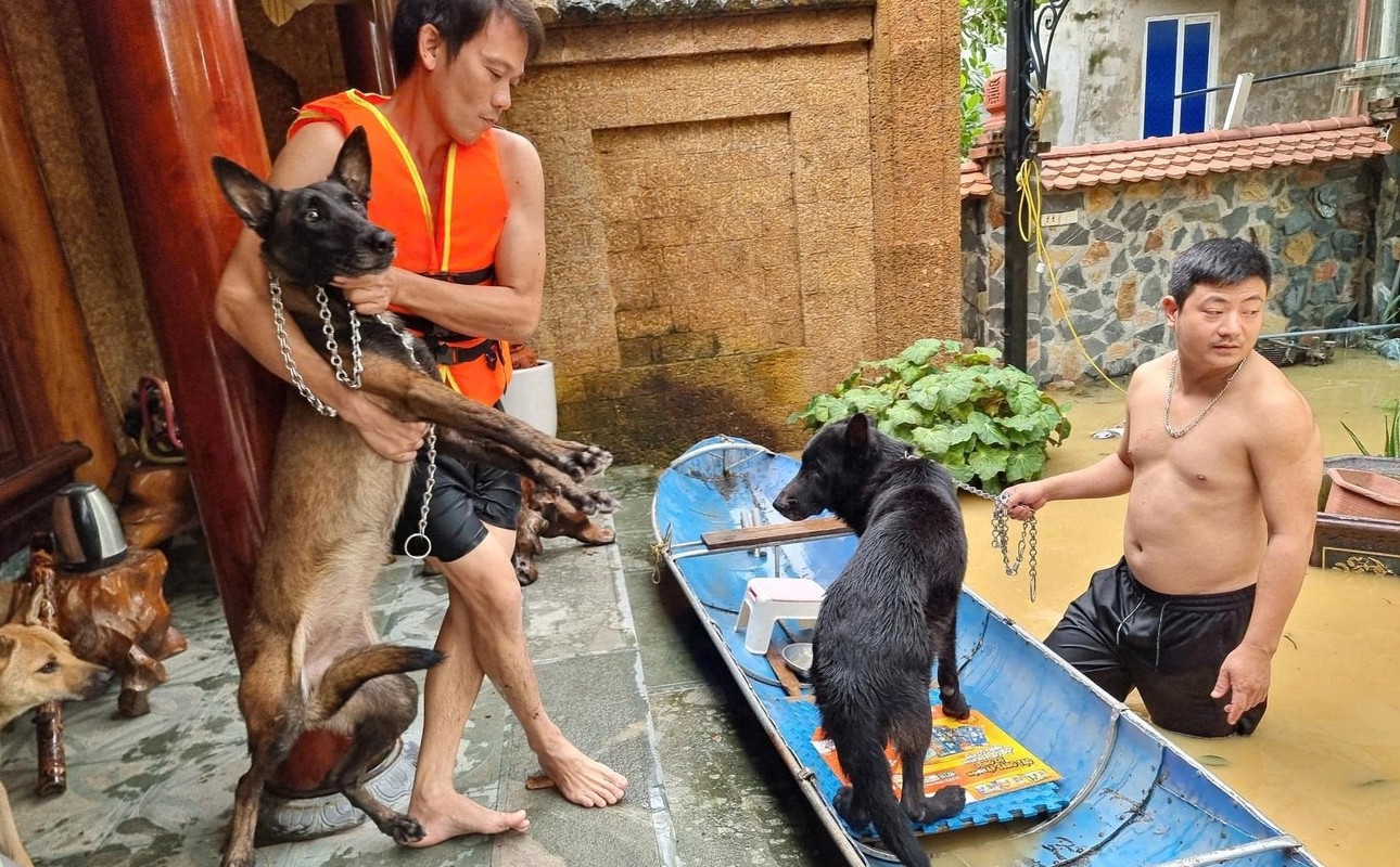 View -             Tan chảy trước loạt ảnh giải cứu động vật mùa lũ    