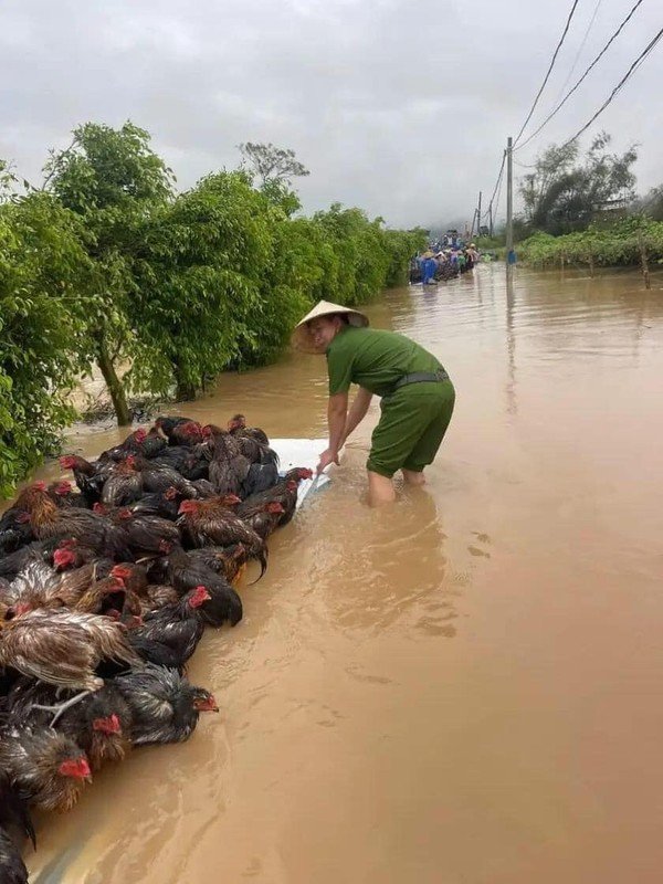             Tan chảy trước loạt ảnh giải cứu động vật mùa lũ    