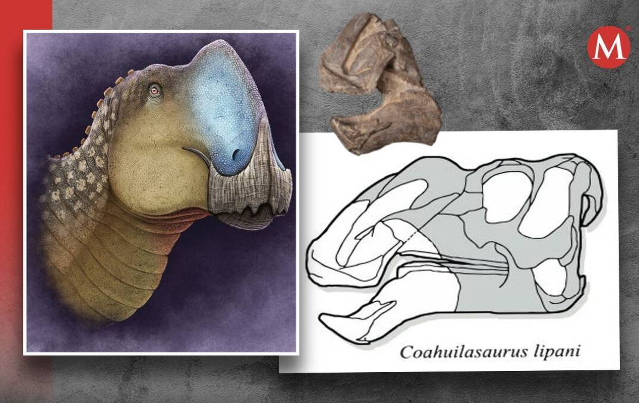             'Quái thú' khổng lồ chưa từng biết đến bất ngờ lộ diện    