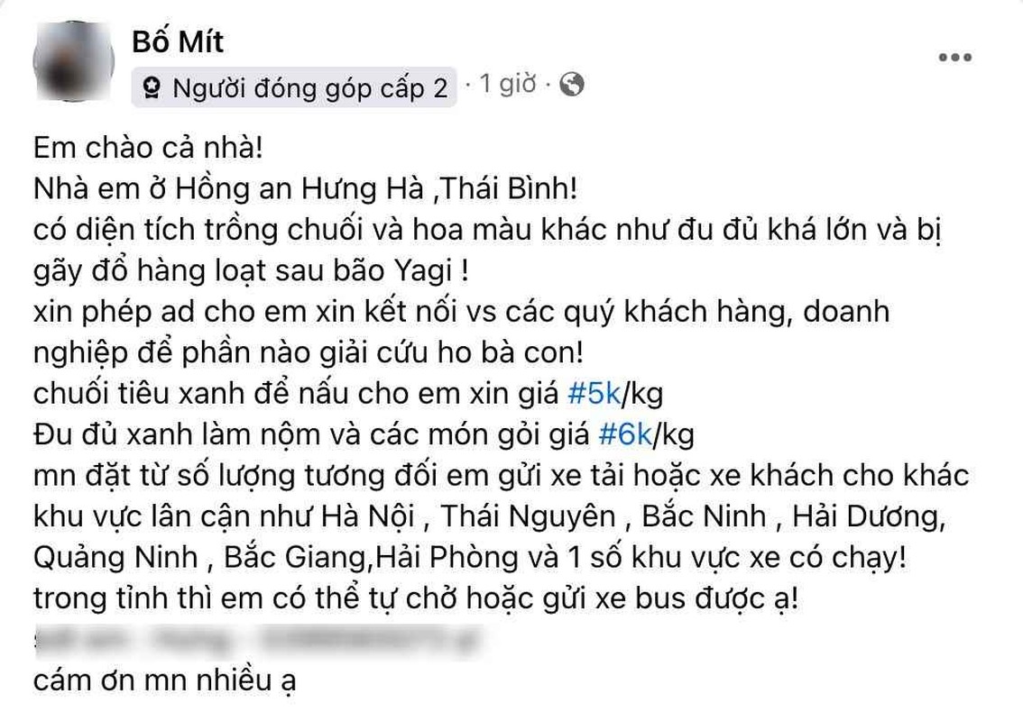             Netizen kêu gọi giải cứu nông sản giúp đồng bào lũ lụt    