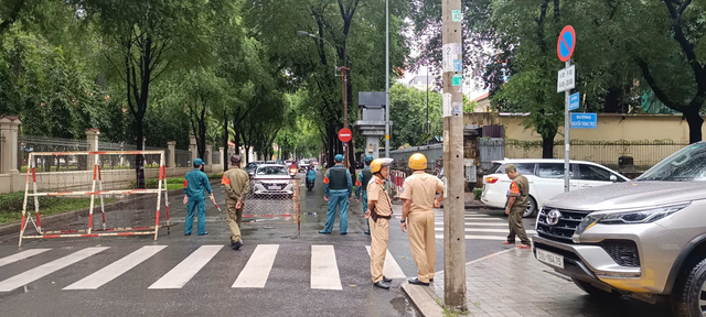             Cây xanh lâu năm bật gốc ở quận 1, đè hàng loạt xe máy    