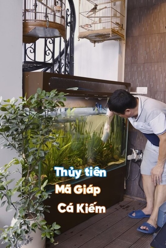 Cận cảnh góc đắt giá trong 'gia trang' của nghệ sĩ Chí Trung