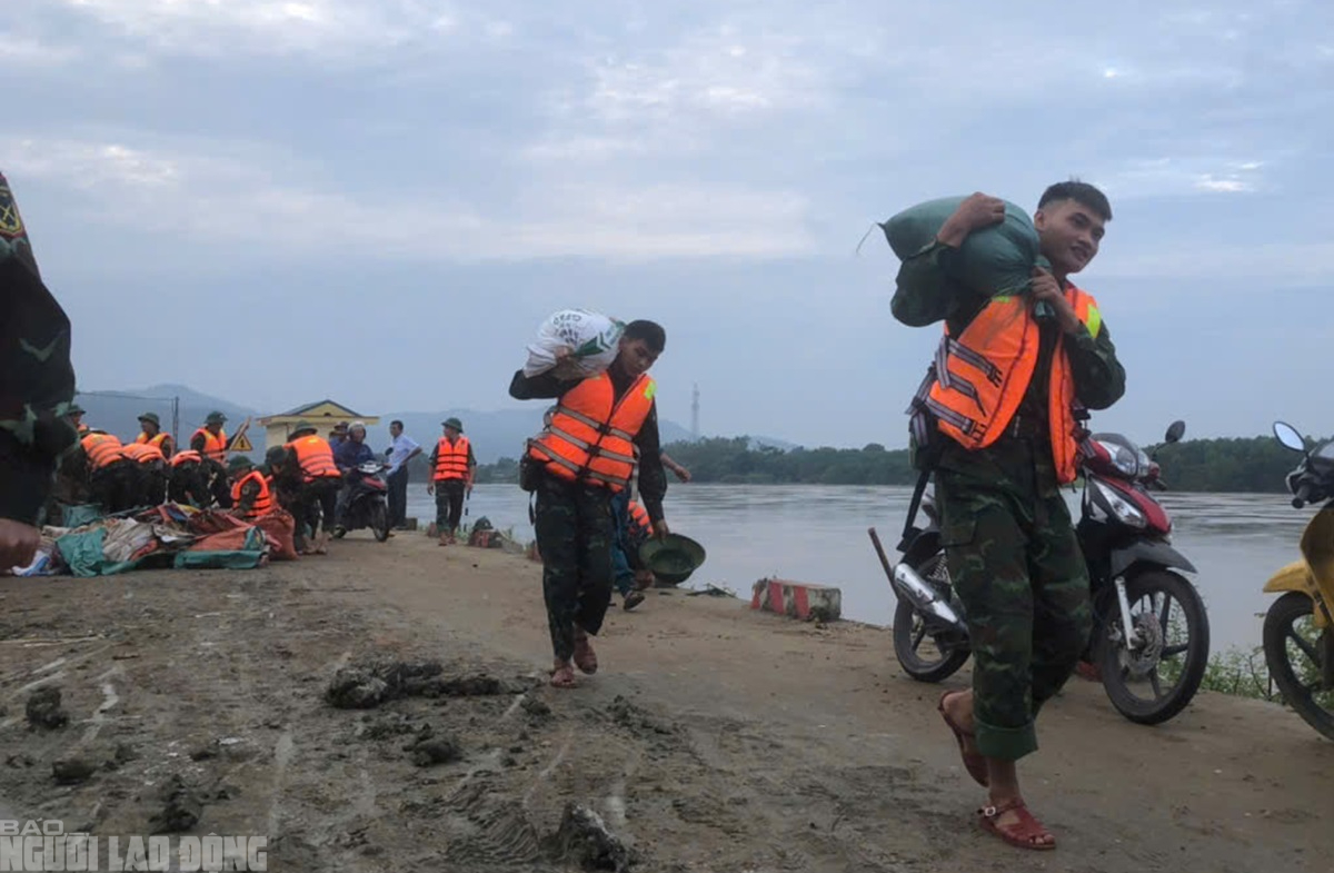             VIDEO: Quân đội huy động cả trăm người xử lý sự cố nước lũ thấm qua đê sông Mã    