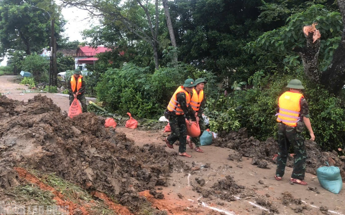 View -             VIDEO: Quân đội huy động cả trăm người xử lý sự cố nước lũ thấm qua đê sông Mã    