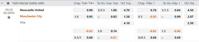             Soi tỉ số trận Newcastle - Manchester City và Arsenal - Leicester    