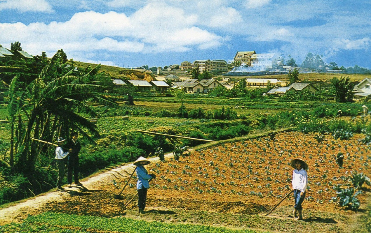 View -             Loạt ảnh quý như vàng về Đà Lạt những năm 1960-1970    