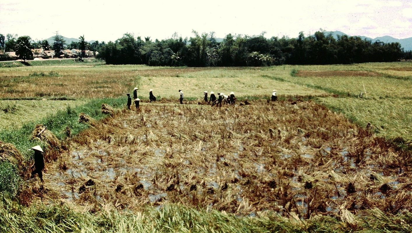 View -             Bình Định năm 1969 cực sống động qua ảnh của Ernest Gaudreau    