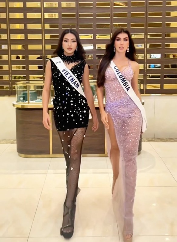 View -             Dàn đối thủ mạnh của Xuân Hạnh ở Miss Cosmo 2024    