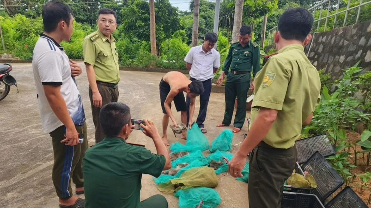             Khỉ đuôi dài ở Côn Đảo bị bắt trái phép: Loài sắp tuyệt chủng    