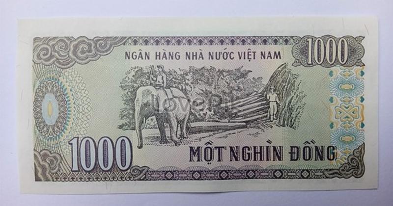             Những sự thật thú vị ít biết về đồng tiền của Việt Nam    