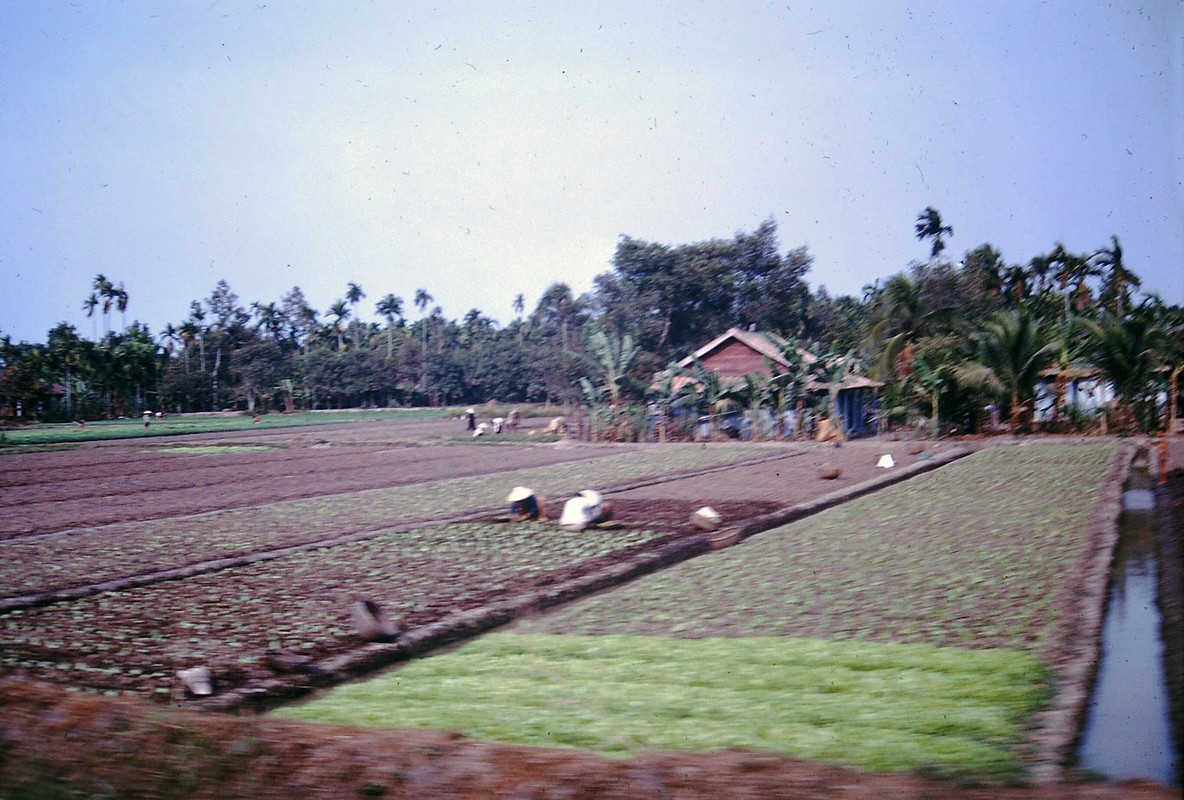 View -             Bình Dương năm 1968: Sống động qua ống kính người Mỹ    