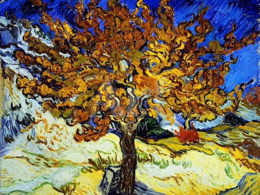 View -             Chiêm ngưỡng 15 bức tranh nổi tiếng nhất của danh họa Vincent van Gogh    