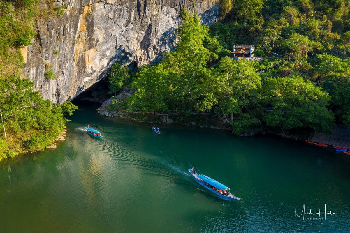 View -             Loài vật quý hiếm nhất hành tinh, vừa được tìm thấy ở Việt Nam    