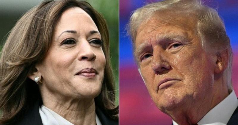 View -             Khoảnh khắc ấn tượng của ông Trump, bà Harris khi vận động tranh cử    