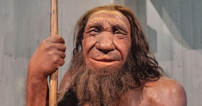             Điều gì xảy ra nếu loài người Neanderthal tồn tại đến ngày nay?    