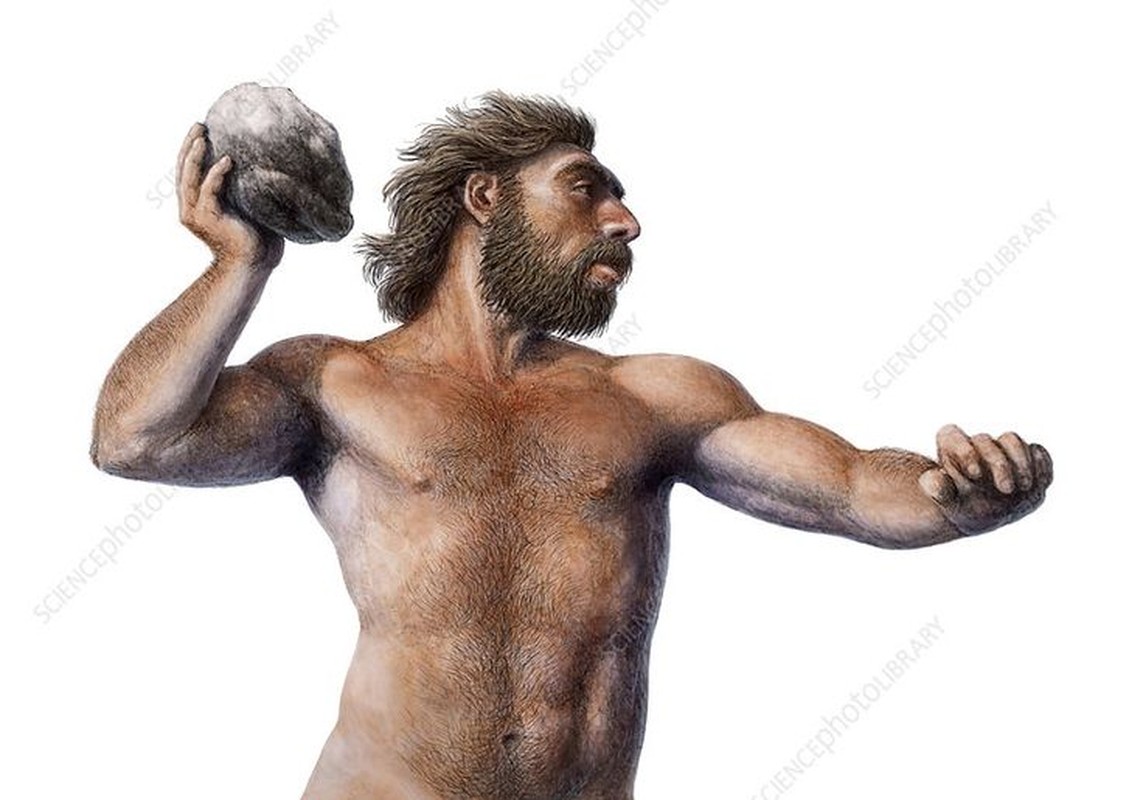 View -             10 sự thật thú vị về người Neanderthal không phải ai cũng biết    