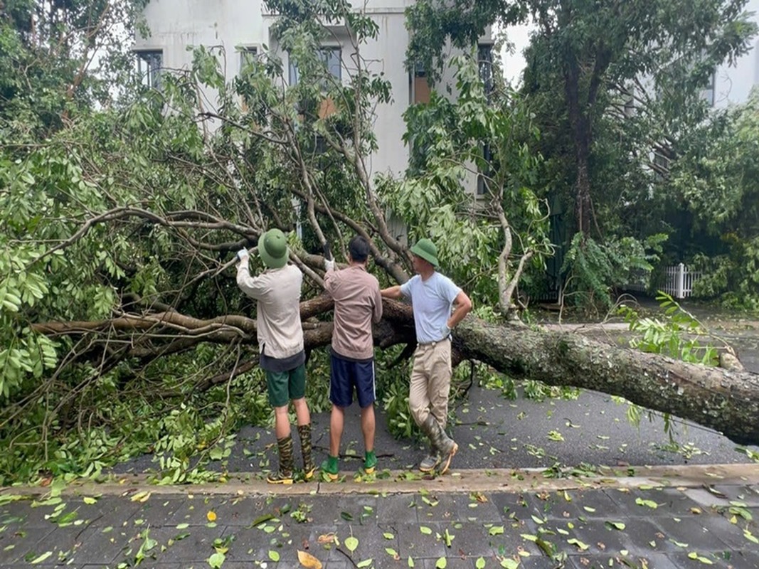 View -             Cuộc sống của NSND Xuân Bắc đằng sau ánh hào quang    