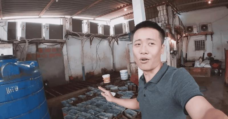             Hé lộ công việc của Quang Linh Vlogs khi mới sang châu Phi    