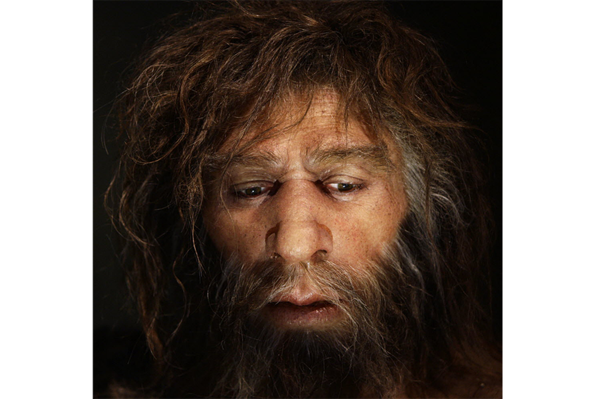 View -             Người Neanderthal bị tuyệt chủng do 'yêu' người hiện đại?    